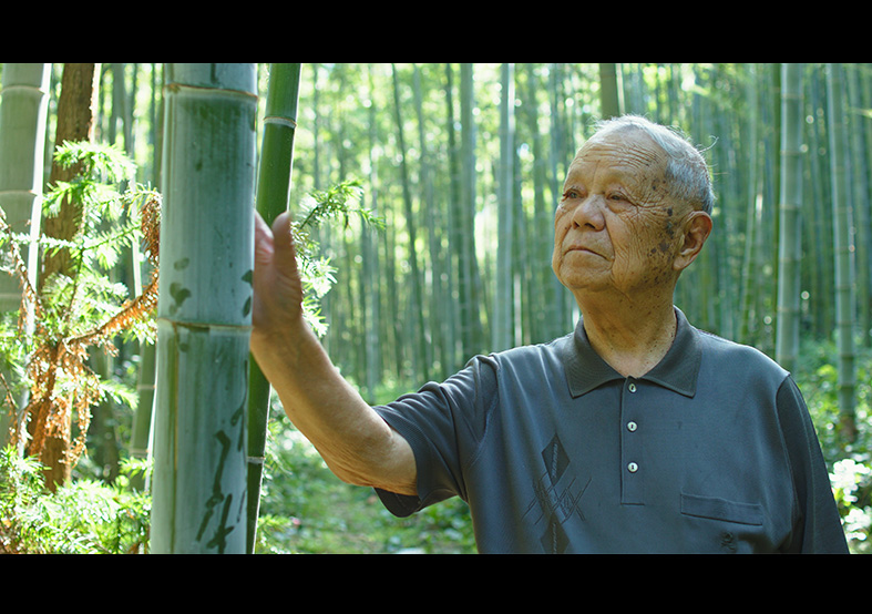 制扇技藝-徐義林 國家級非物質(zhì)文化遺產(chǎn)代...
